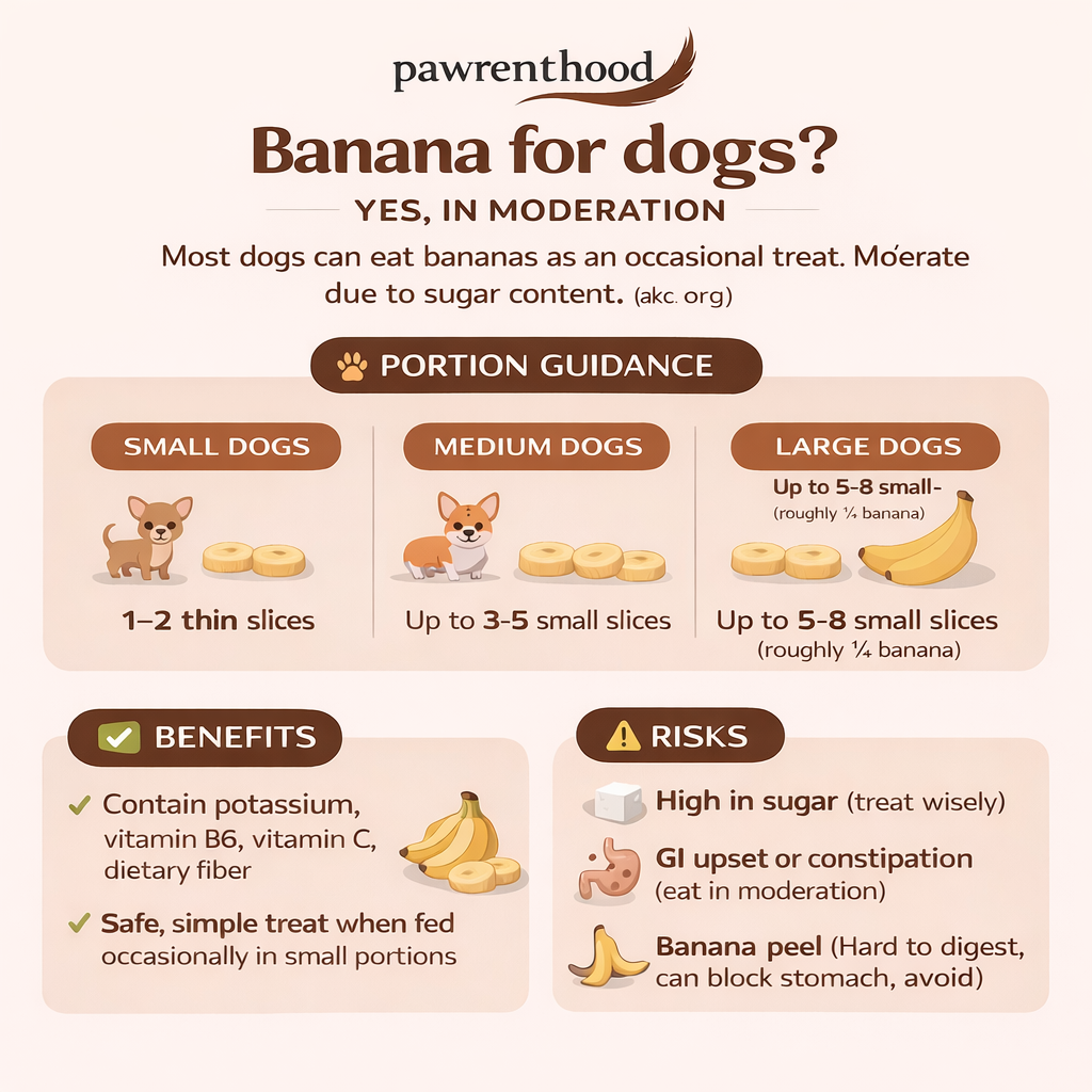 Can Dogs Eat Bananas? Yes, in Moderation (Plus: How to Serve It Safely)