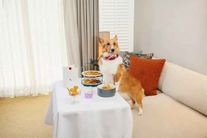 Dog Friendly Hotels Singapore: 2026 Spawcation Guide (Plus Bonus Dog Cruises)