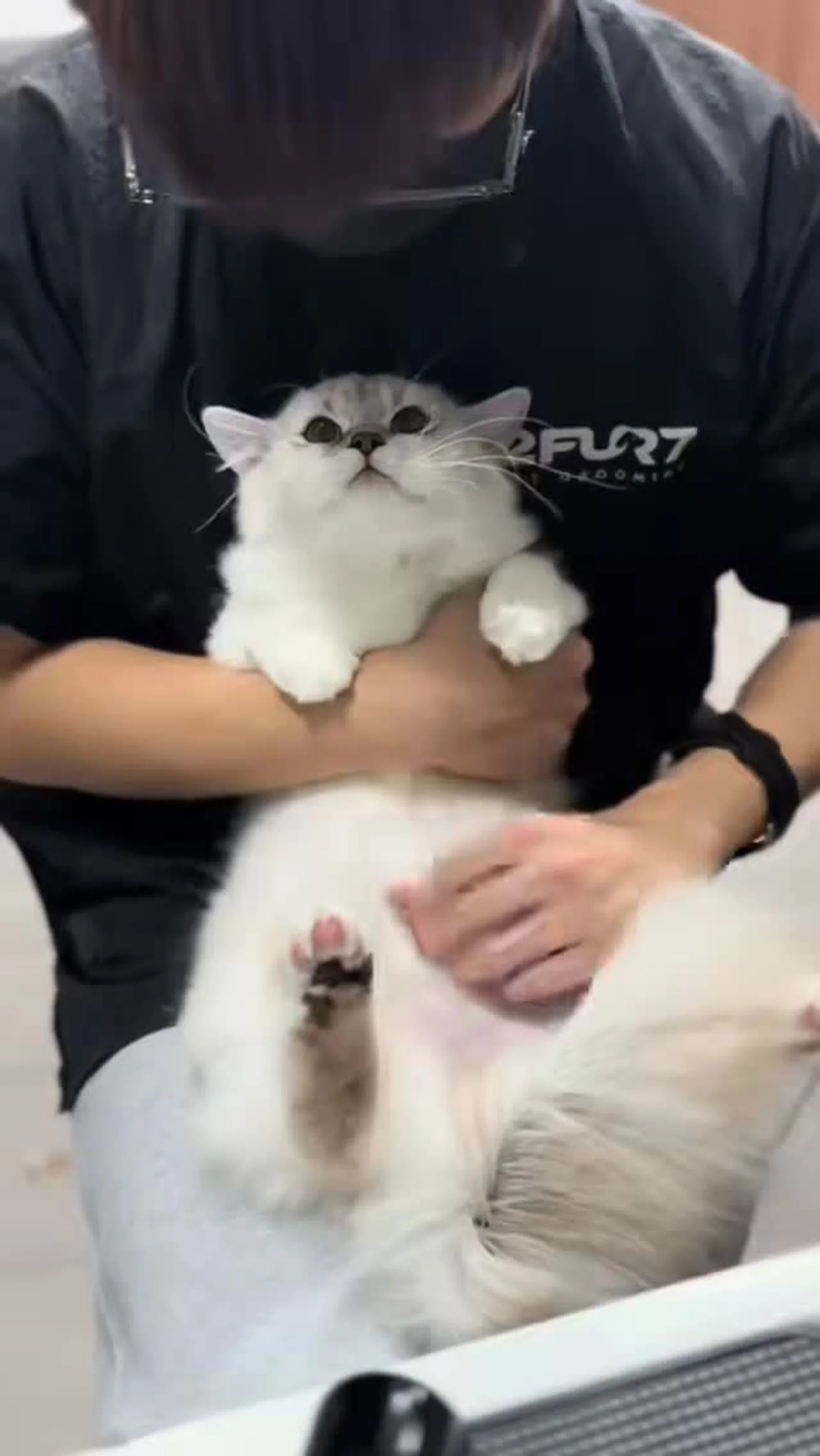 Photo 1 of 2FUR7 PET GROOMING @ Changi
