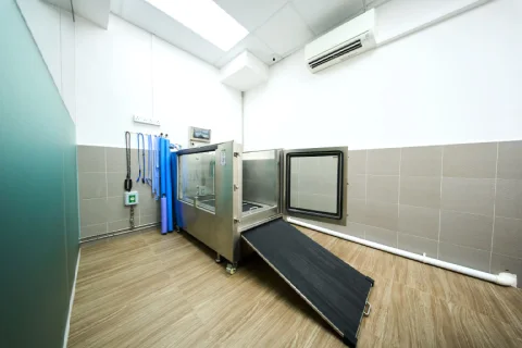 Photo 2 of Advanced Animal Rehabilitation - Pet Hydrotherapy & Physiotherapy in Singapore
