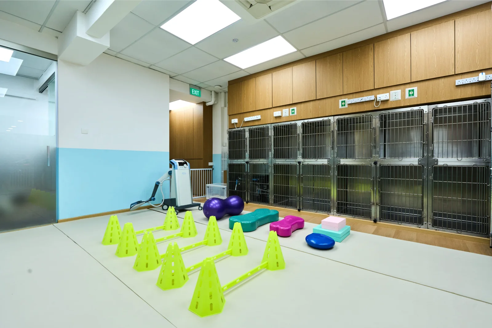 Photo 1 of Advanced Animal Rehabilitation - Pet Hydrotherapy & Physiotherapy in Singapore