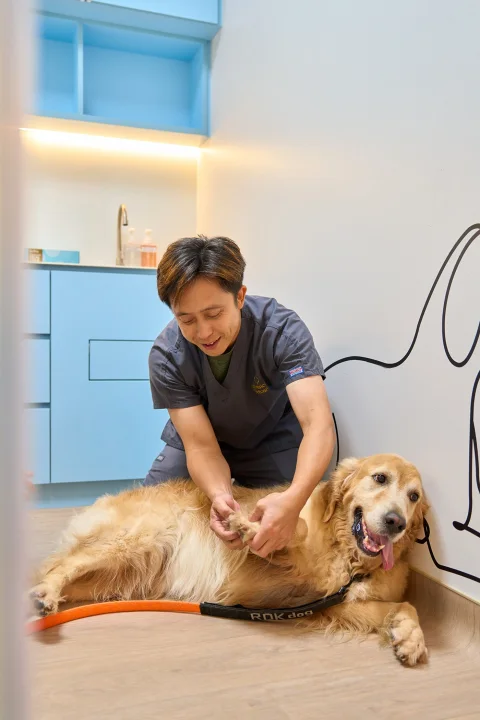 Photo 2 of Advanced VetCare (Bedok)