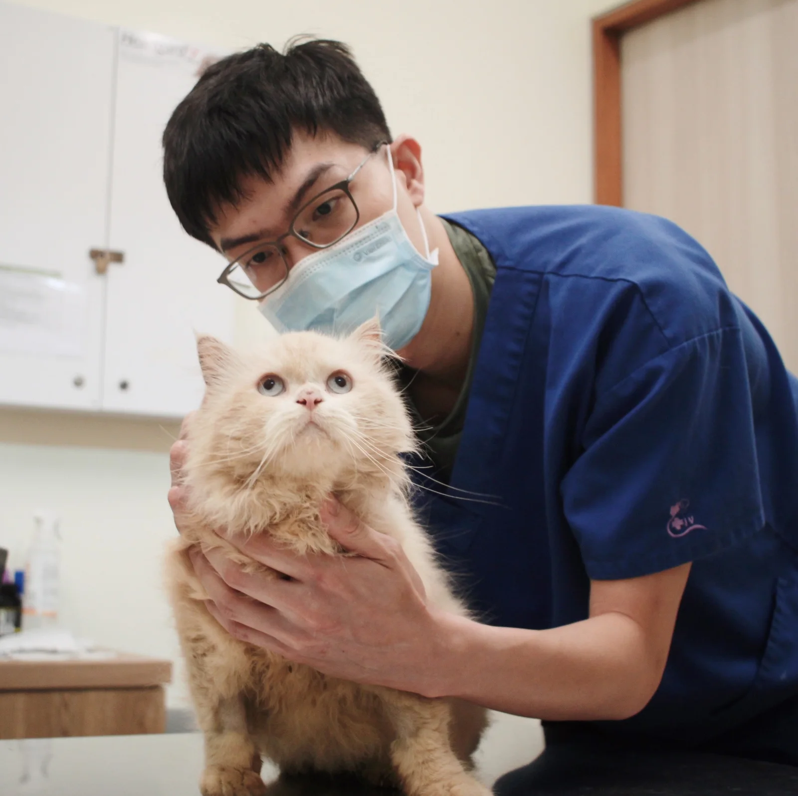 Photo 1 of Atlas Veterinary Clinic