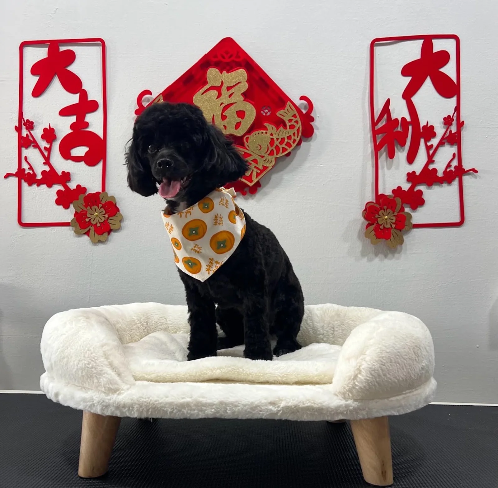 Photo 1 of Bark & Purr Pet Grooming