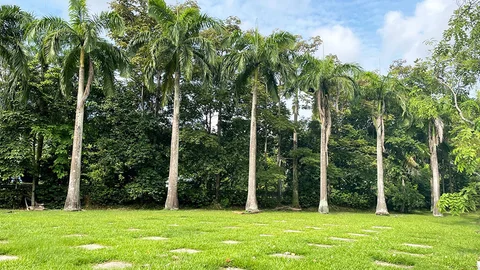 Photo 2 of Bedok Town Park Dog Run