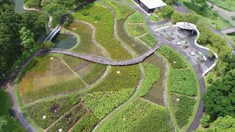 Photo 3 of Bishan-Ang Mo Kio Park