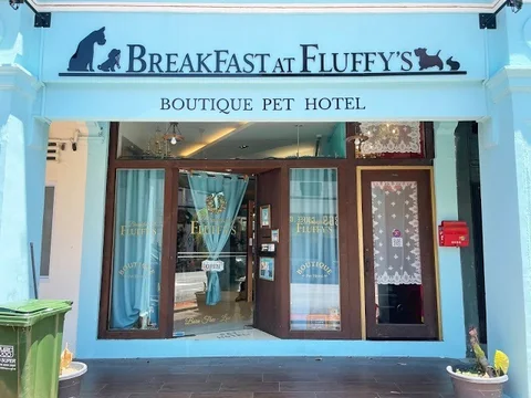 Photo 3 of BreakFast at Fluffy’s Boutique Pet Hotel, Daycare & Grooming