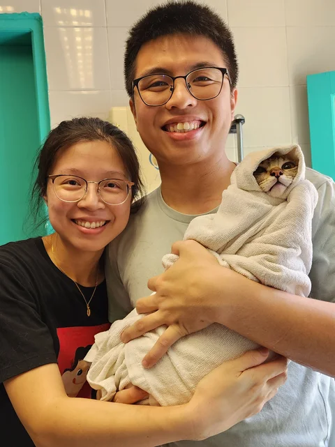 Photo 3 of The Cat Museum & Kitten Sanctuary Singapore