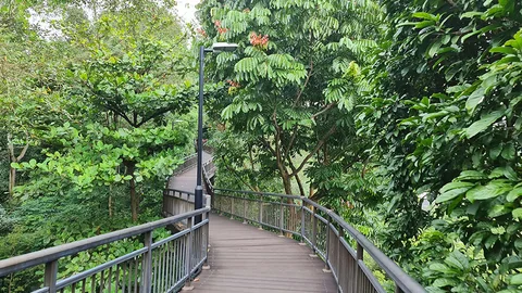Photo 2 of Kent Ridge Park