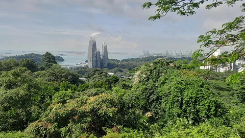 Photo 2 of Marang Trail at Mount Faber