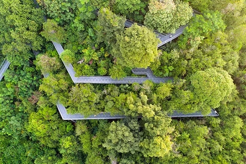 Photo 3 of Marang Trail at Mount Faber