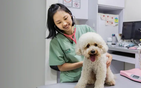 Photo 2 of Mount Pleasant Veterinary Centre (Gelenggang)