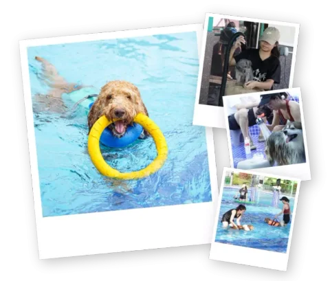 Photo 3 of Mutts & Mittens Active