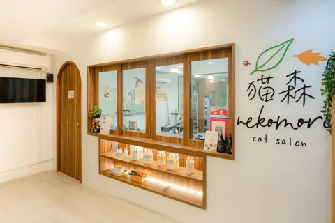 Photo 3 of Nekomori Cat Salon – Brighton Crescent