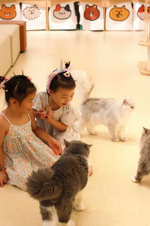 Photo 3 of NekoTown Cat Cafe - Mandai