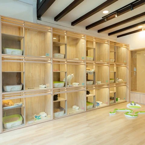 Photo 2 of Nekoya Cat Hotel – Kampong Bahru