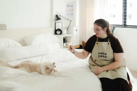 Photo 2 of Nekoya Cat Hotel – King Albert Park