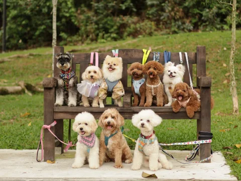 Photo 3 of Ozzy & Friends