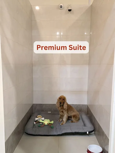 Photo 2 of Pampered Pets Relocation & Lodging