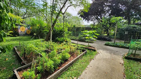 Photo 4 of Pasir Ris Park