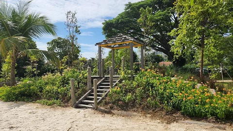 Photo 3 of Pasir Ris Park