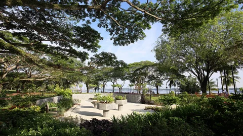 Photo 5 of Pasir Ris Park