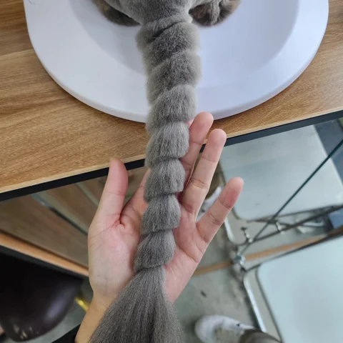 Photo 2 of Pet's Galaxy Pte. Ltd. - Cat Grooming Specialist