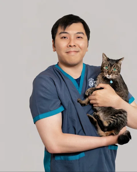 Photo 3 of Pet Space Central Vet Surgery