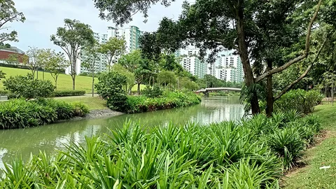 Photo 2 of Punggol Waterway Park