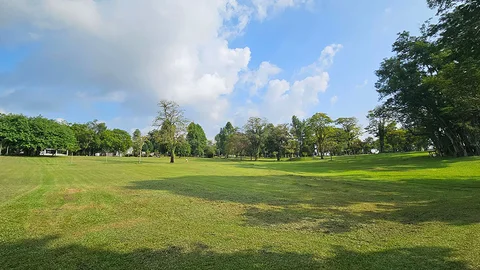 Photo 2 of Sembawang Park Dog Run