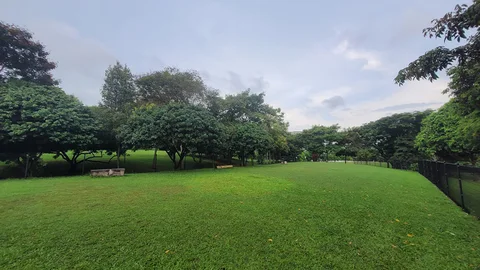 Photo 3 of Sengkang Riverside Park