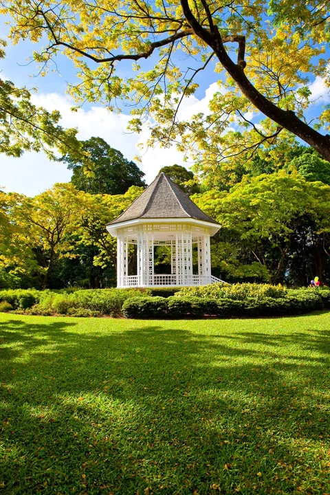 Photo 2 of Singapore Botanic Gardens