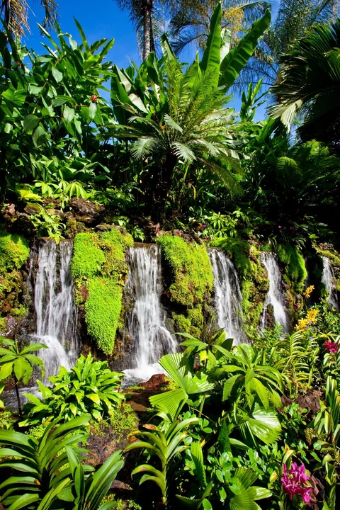 Photo 3 of Singapore Botanic Gardens