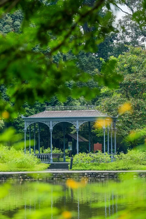 Photo 4 of Singapore Botanic Gardens