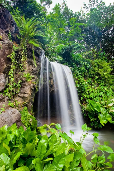 Photo 5 of Singapore Botanic Gardens