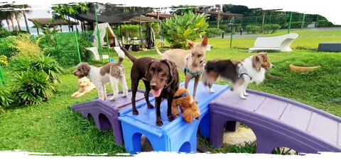 Photo 2 of Tails Up @ Changi