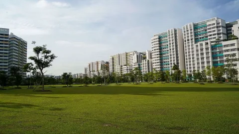 Photo 2 of Tampines Boulevard Park Dog Run