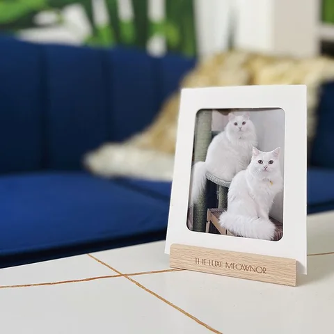 Photo 2 of THE LUXE MEOWNOR