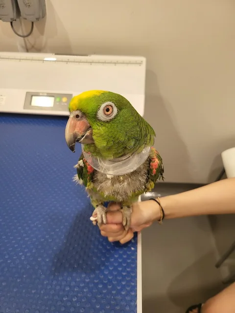 Photo 2 of TP Animal Clinic & Wellness