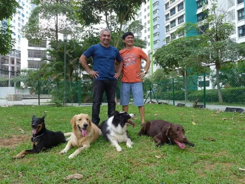 Photo 2 of Waggie Dog Training School