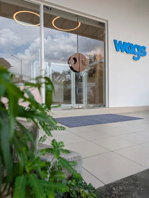 Photo 3 of Wags Singapore