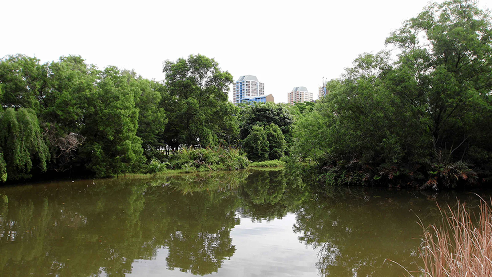Photo 1 of West Coast Park Dog Run