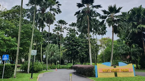 Photo 3 of West Coast Park